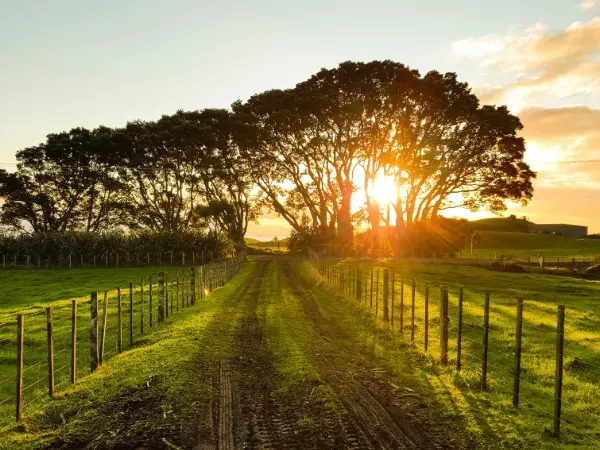 Agricultural Land real estate